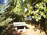 R0011493.JPG