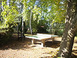 R0011494.JPG